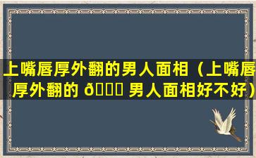 上嘴唇厚外翻的男人面相（上嘴唇厚外翻的 🐒 男人面相好不好）